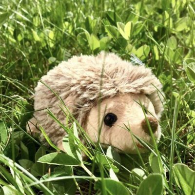 Sweet Hubert hedgehog 22 cm laying