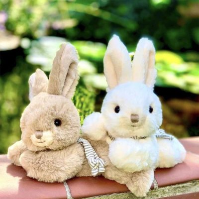 Buster & Coco bunny