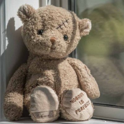 Nobody's Perfect teddy
