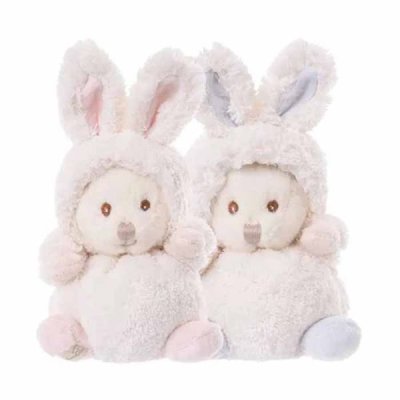 Ziggy Teddy in bunny suit