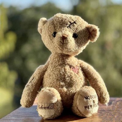 Lovely Nobody's Perfect teddy
