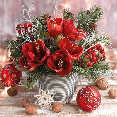 Napkin Amaryllis Bouquet