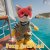 Foxy fox