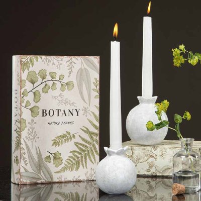 Box book shaped Botany
