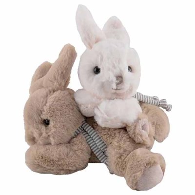 Buster & Coco bunny