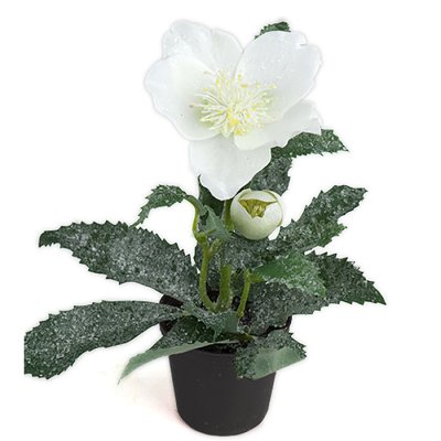Christmas Rose with ice 19 cm