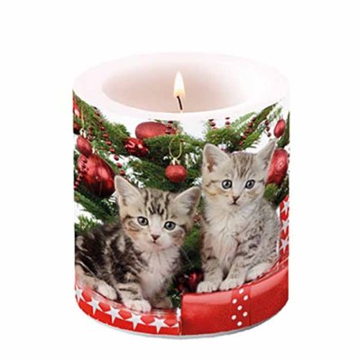 Candle Christmas Kitten 10 cm