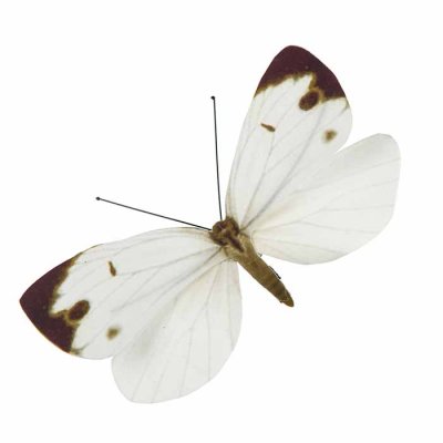Butterfly ornament with clip white