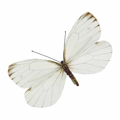 Butterfly ornament with clip white