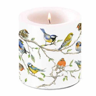 Candle Birds Meeting 10 cm