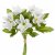 Flower bouquet Wood anemone