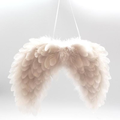 Feather wings 34 cm