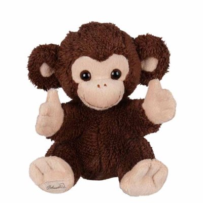 Baby Bernard monkey